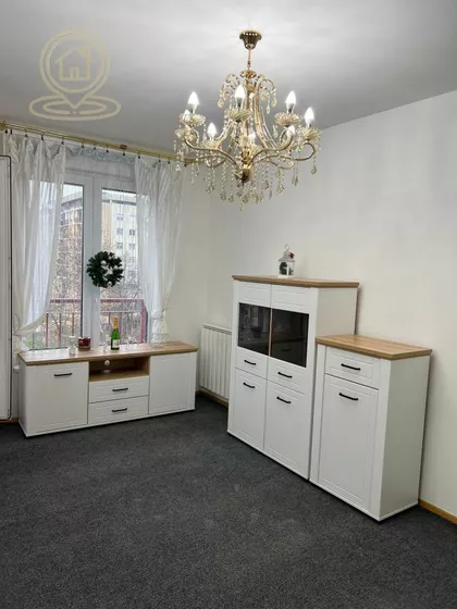 Stepa Stepanović | 4zida.rs