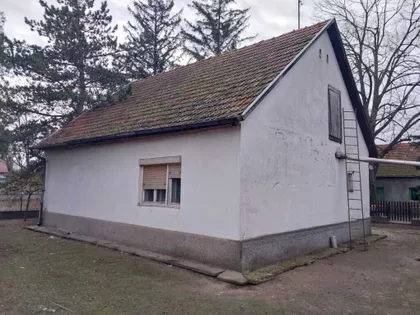 Srpski Šor | 4zida.rs