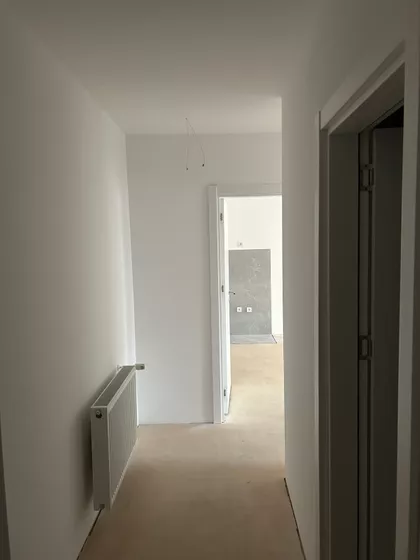 Cara Dušana | 4zida.rs