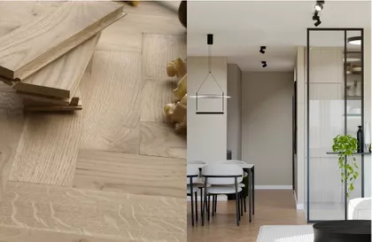 Marine Veličković | 4zida.rs