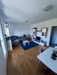 Novi Sad, Gradske lokacije, Detelinara | 4zida.rs | 4zida.rs