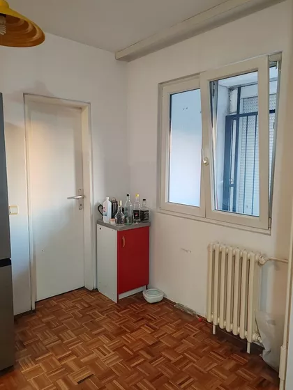 Dr Ivana Ribara | 4zida.rs