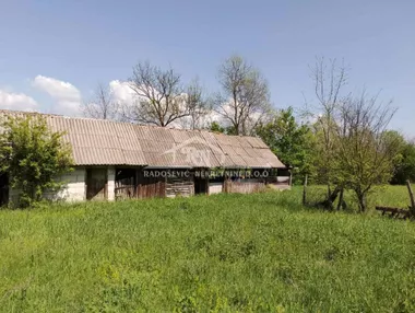 selo Dučina