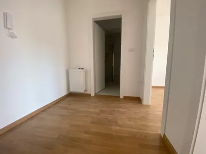 Cara Dušana | 4zida.rs