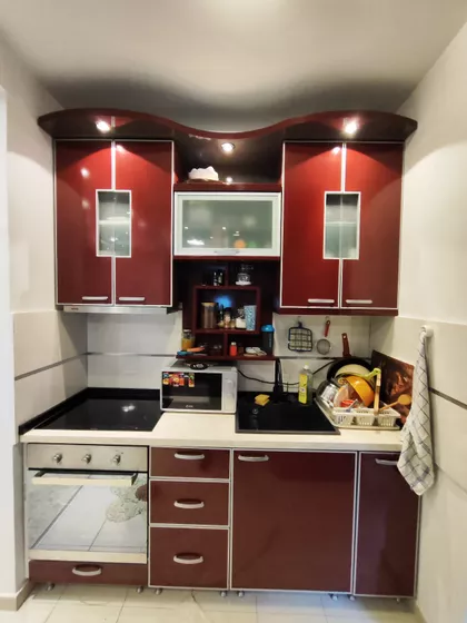 Davida Pajića | 4zida.rs