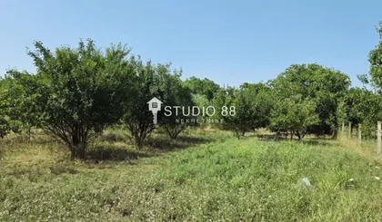 Bagljaš | 4zida.rs