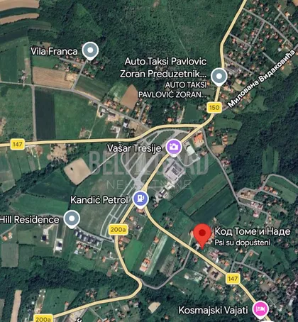 Despota Stefana Lazarevića | 4zida.rs