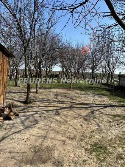 Duška Jokića | 4zida.rs