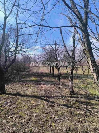 Čortanovci | 4zida.rs