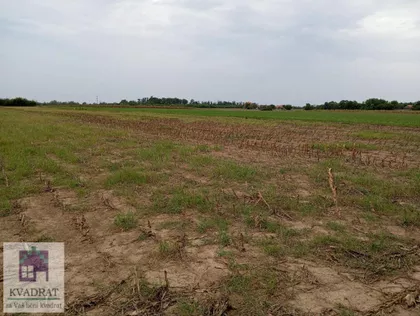 Zvečka | 4zida.rs