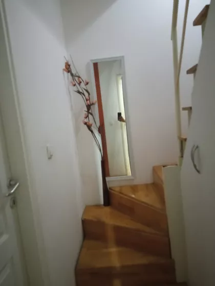 Pjera Križanića | 4zida.rs