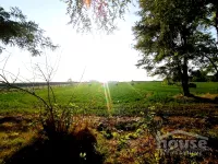 Čenej, Okolne lokacije, Novi Sad | 4zida.rs