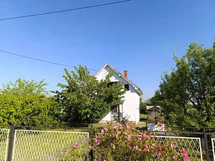 Stepe Stepanovića | 4zida.rs