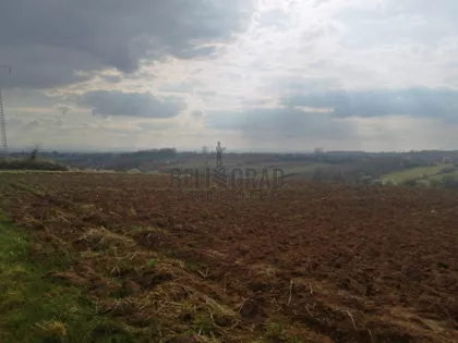 Kosinac | 4zida.rs