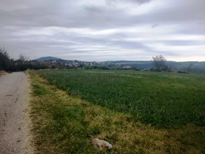 Potez Žuti Breg | 4zida.rs