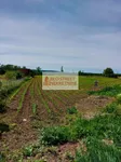 Poljoprivredno zemljište | 4zida
