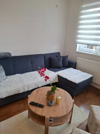 Milana A. Jovanovića Babe | 4zida.rs