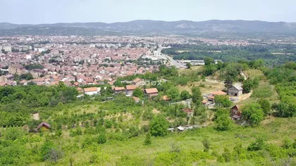 Delijski Vis | 4zida.rs