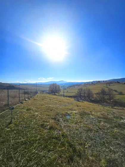 Tometino Polje | 4zida.rs