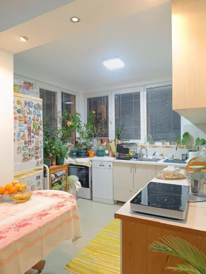 Pere Kosorića | 4zida.rs