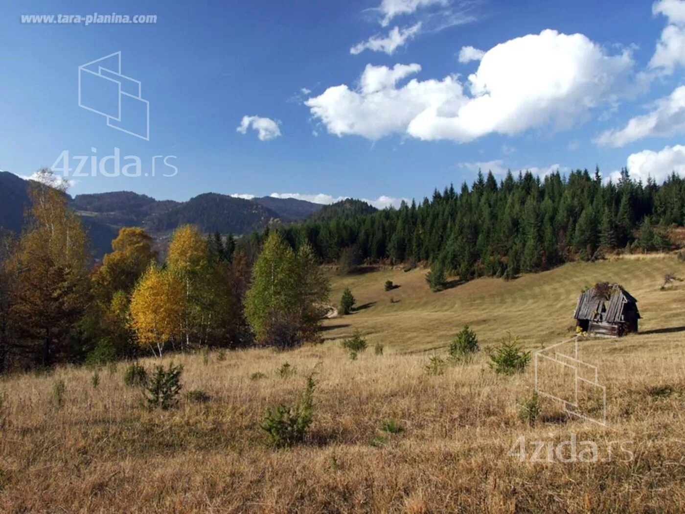 Plac | 4zida