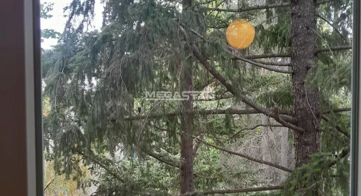 Šestosoban stan | 4zida