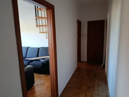 Antuna Urbana | 4zida.rs