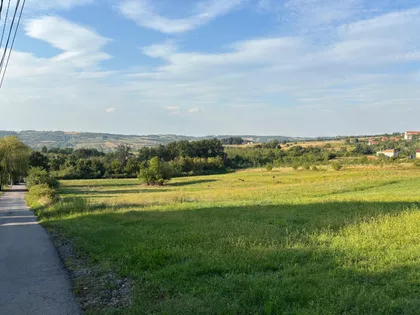 Arsenija Sremca | 4zida.rs