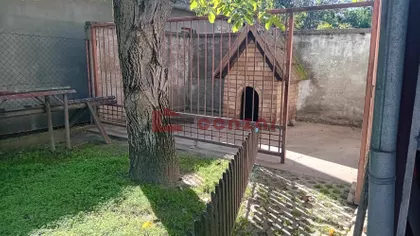Srpski Šor | 4zida.rs
