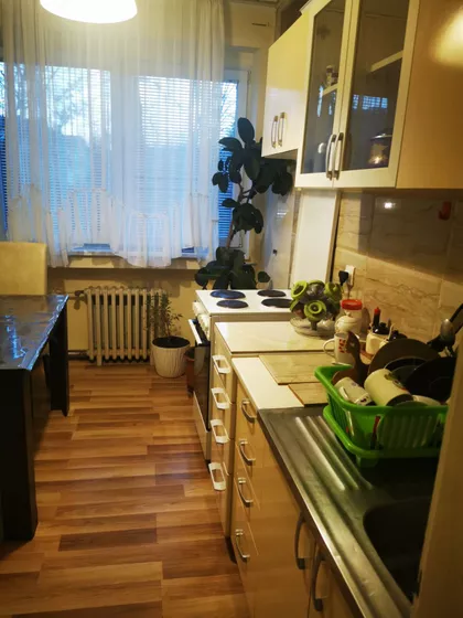Vojvode Stepe | 4zida.rs