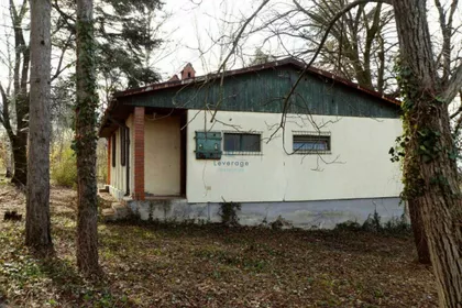 Parloška Kosa | 4zida.rs