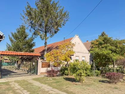 Petra Drapšina | 4zida.rs