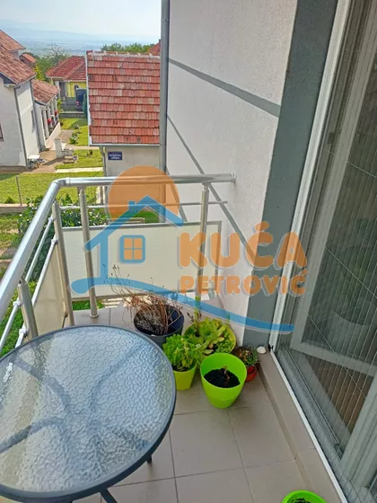 Pasi poljana | 4zida.rs