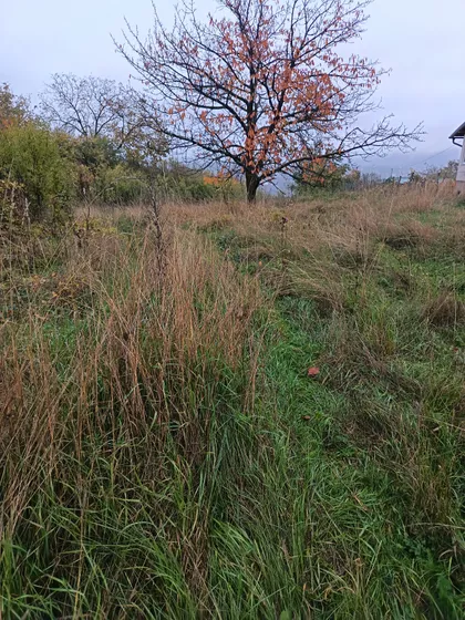 Beloševac | 4zida.rs