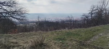 Beli Breg | 4zida.rs