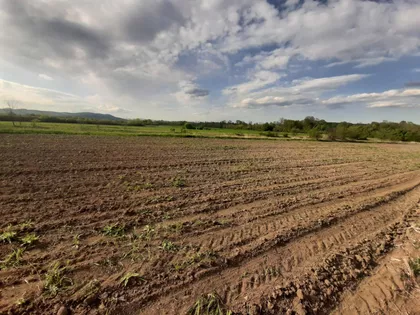 Pop Radmilova | 4zida.rs