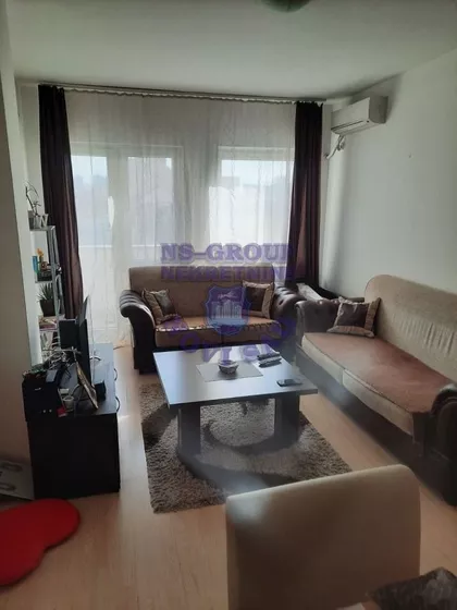 Salajka | 4zida.rs