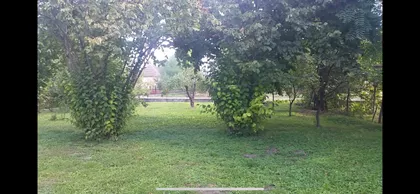 Bukovac 58 | 4zida.rs