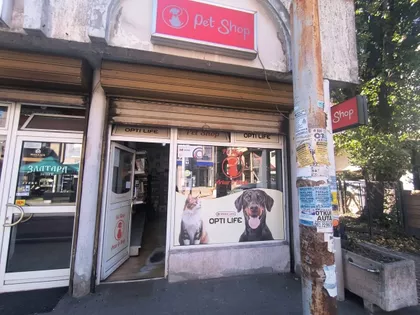 Paunova 6a | 4zida.rs