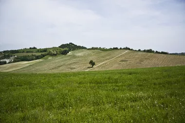 Donje Međurovo
