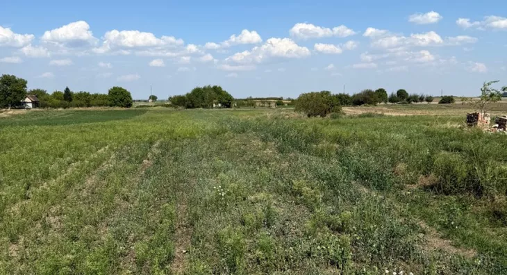 Poljoprivredno zemljište | 4zida