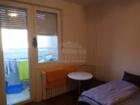 Novo Naselje, Gradske lokacije, Novi Sad | 4zida.rs | 4zida.rs