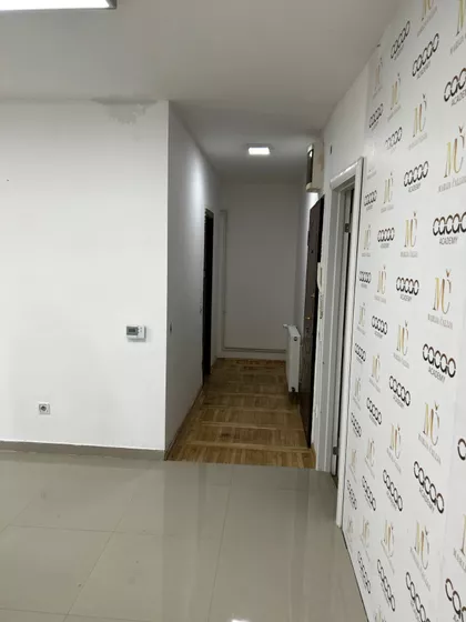 Dr Ilije Kolovića | 4zida.rs