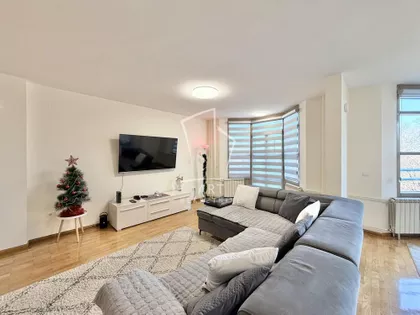 Dalmatinska | 4zida.rs