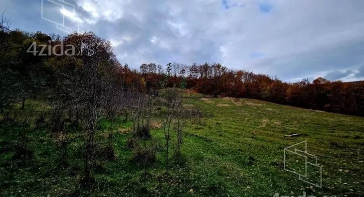 Plac | 4zida