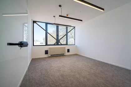 Cara Dušana | 4zida.rs