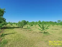 Grocka (mesto), Grocka opština, Beograd | 4zida.rs