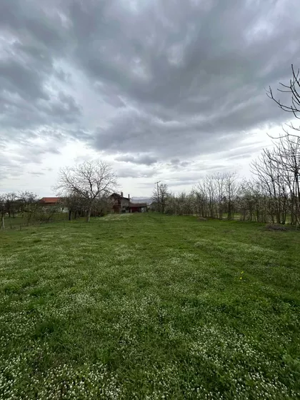 Slobodana Jovanovića | 4zida.rs