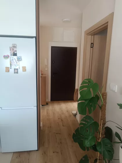 Jesenjinova 2Đ | 4zida.rs