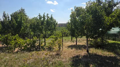 Fruškogorska 25 | 4zida.rs